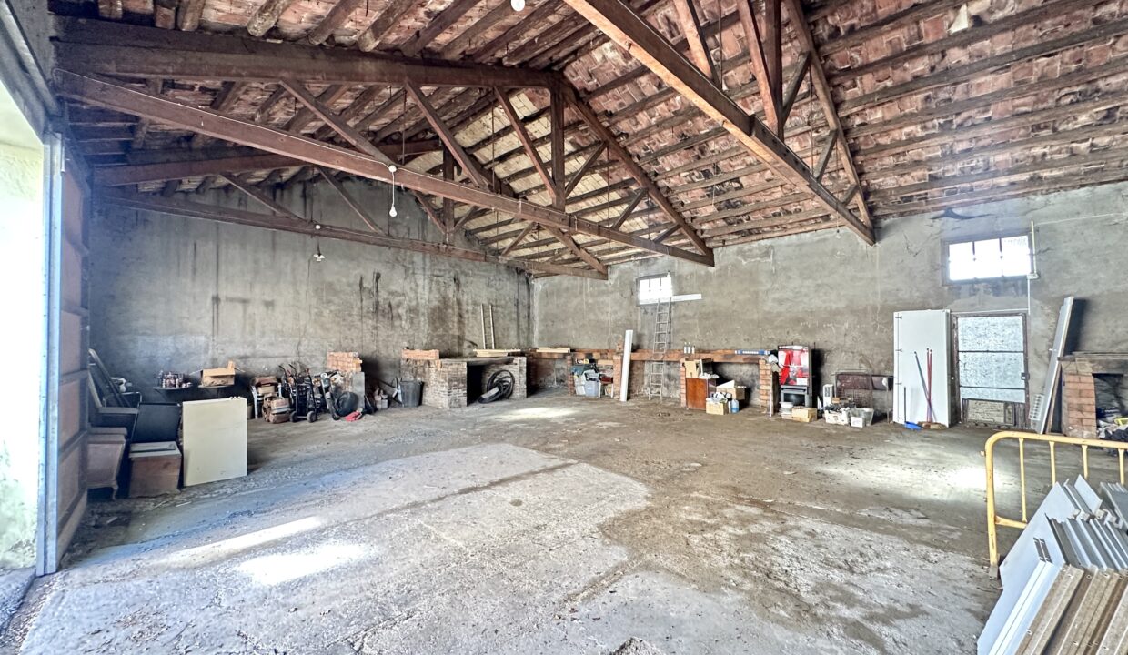IMG_3548